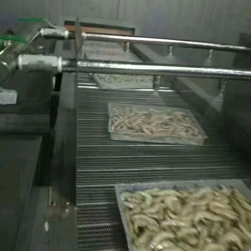 Industrial Freezing Tunnels factory